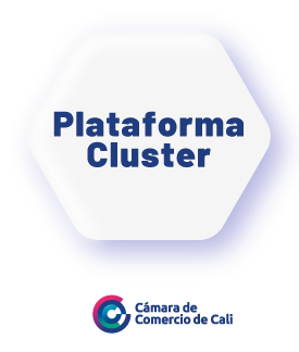 plataforma-cluster